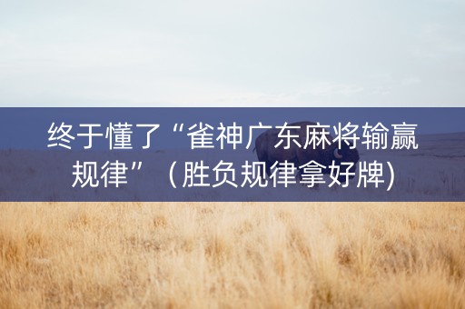 终于懂了“雀神广东麻将输赢规律”（胜负规律拿好牌)