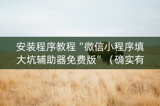 安装程序教程“微信小程序填大坑辅助器免费版”（确实有插件吗)