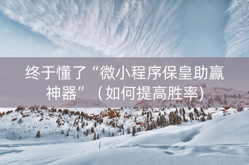 终于懂了“微小程序保皇助赢神器”（如何提高胜率)