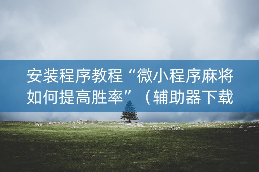 安装程序教程“微小程序麻将如何提高胜率”（辅助器下载)