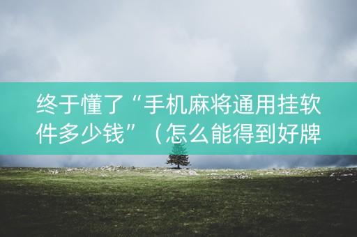 终于懂了“手机麻将通用挂软件多少钱”（怎么能得到好牌)