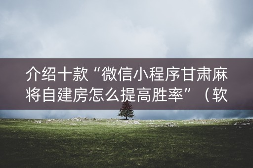 介绍十款“微信小程序甘肃麻将自建房怎么提高胜率”（软挂神器)