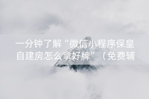 一分钟了解“微信小程序保皇自建房怎么拿好牌”（免费辅助)