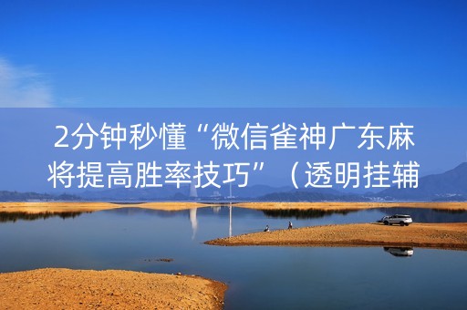 2分钟秒懂“微信雀神广东麻将提高胜率技巧”（透明挂辅助器)
