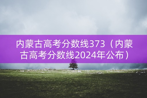 内蒙古高考分数线373（内蒙古高考分数线2024年公布）