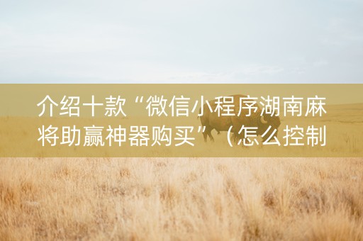 介绍十款“微信小程序湖南麻将助赢神器购买”（怎么控制输赢)