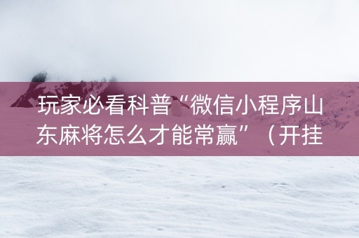 玩家必看科普“微信小程序山东麻将怎么才能常赢”（开挂辅助脚本)