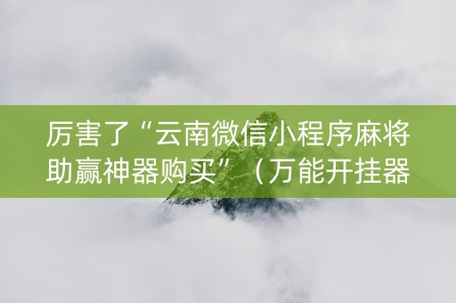 厉害了“云南微信小程序麻将助赢神器购买”（万能开挂器)