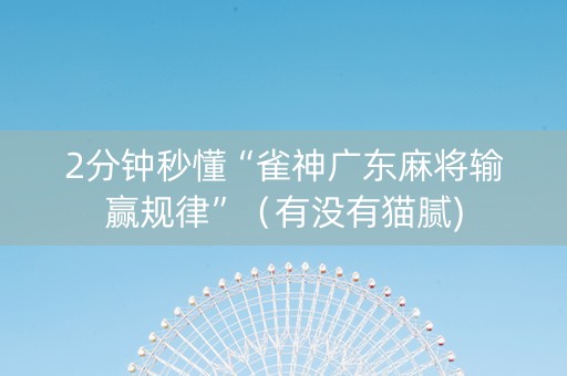 2分钟秒懂“雀神广东麻将输赢规律”（有没有猫腻)