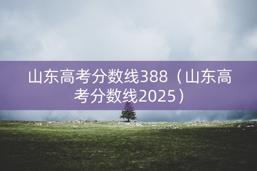 山东高考分数线388（山东高考分数线2025）