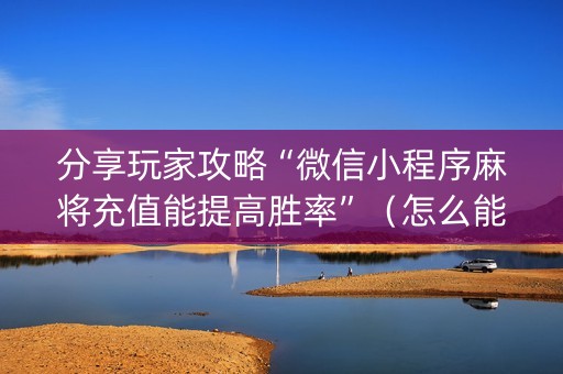 分享玩家攻略“微信小程序麻将充值能提高胜率”（怎么能让牌好一点)