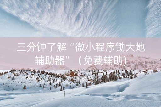 三分钟了解“微小程序锄大地辅助器”（免费辅助)