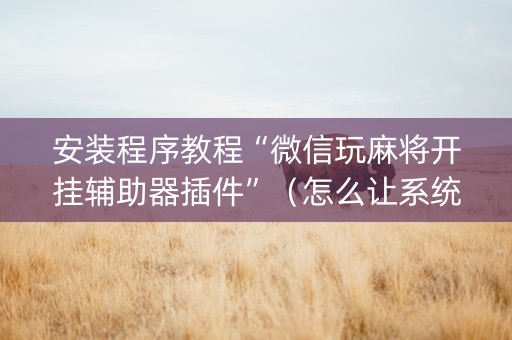 安装程序教程“微信玩麻将开挂辅助器插件”（怎么让系统给自己好牌)