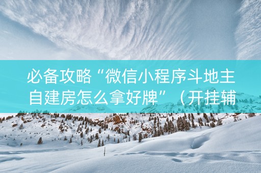 必备攻略“微信小程序斗地主自建房怎么拿好牌”（开挂辅助器脚本)