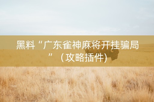 黑料“广东雀神麻将开挂骗局”（攻略插件)