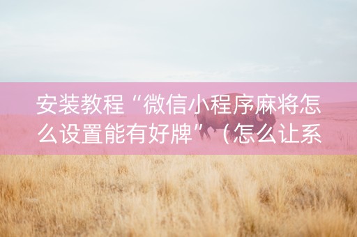 安装教程“微信小程序麻将怎么设置能有好牌”（怎么让系统给你发好牌)