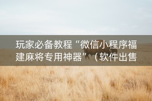 玩家必备教程“微信小程序福建麻将专用神器”（软件出售)