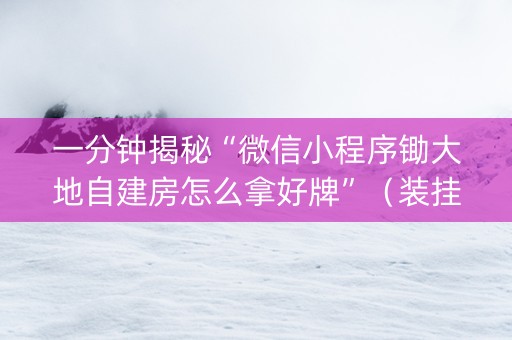 一分钟揭秘“微信小程序锄大地自建房怎么拿好牌”（装挂怎么安装)