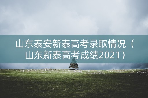 山东泰安新泰高考录取情况（山东新泰高考成绩2021）