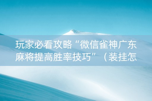 玩家必看攻略“微信雀神广东麻将提高胜率技巧”（装挂怎么安装)
