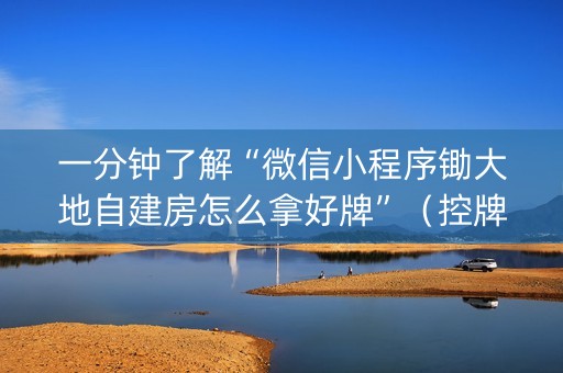 一分钟了解“微信小程序锄大地自建房怎么拿好牌”（控牌神器)