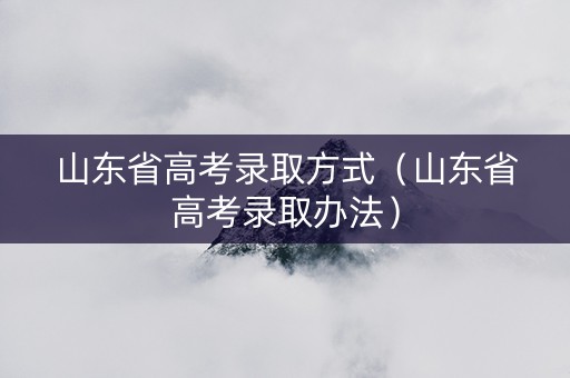 山东省高考录取方式（山东省高考录取办法）