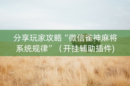 分享玩家攻略“微信雀神麻将系统规律”（开挂辅助插件)