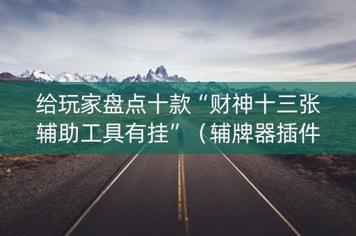 给玩家盘点十款“财神十三张辅助工具有挂”（辅牌器插件购买)