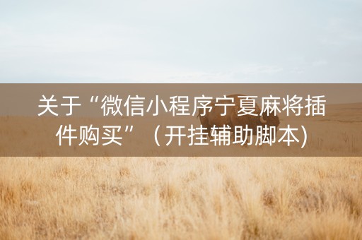 关于“微信小程序宁夏麻将插件购买”（开挂辅助脚本)