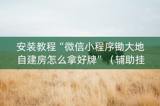 安装教程“微信小程序锄大地自建房怎么拿好牌”（辅助挂发牌规律)