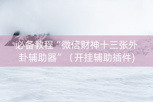 必备教程“微信财神十三张外卦辅助器”（开挂辅助插件)
