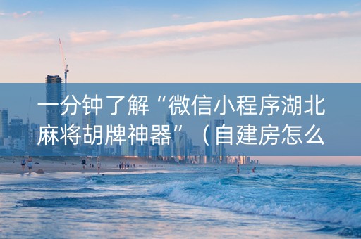 一分钟了解“微信小程序湖北麻将胡牌神器”（自建房怎么赢)
