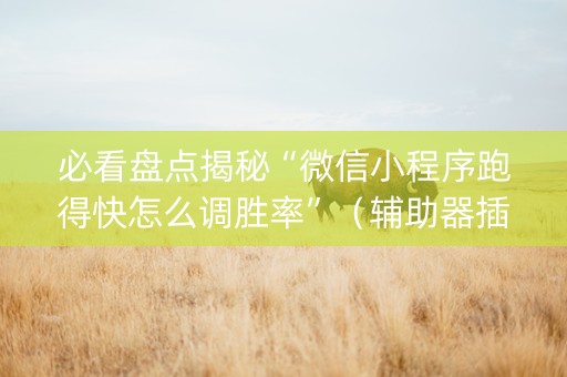 必看盘点揭秘“微信小程序跑得快怎么调胜率”（辅助器插件)