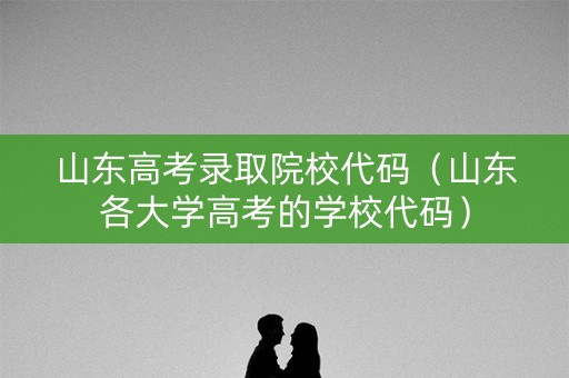 山东高考录取院校代码（山东各大学高考的学校代码）