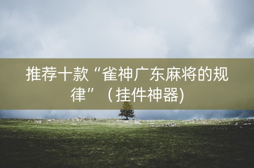 推荐十款“雀神广东麻将的规律”（挂件神器)