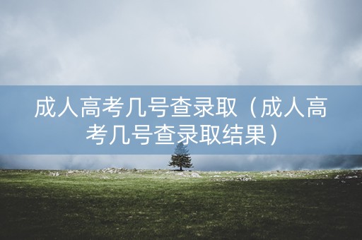 成人高考几号查录取（成人高考几号查录取结果）