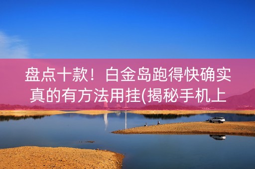 盘点十款！白金岛跑得快确实真的有方法用挂(揭秘手机上插件购买)