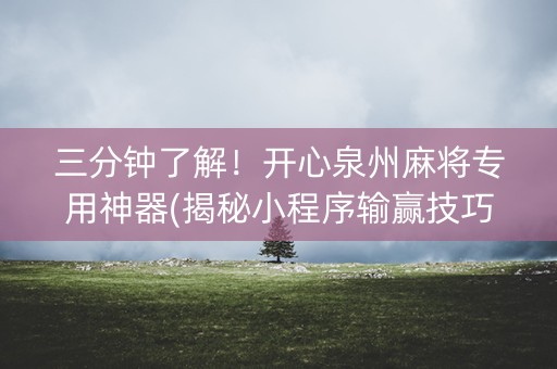 三分钟了解！开心泉州麻将专用神器(揭秘小程序输赢技巧)