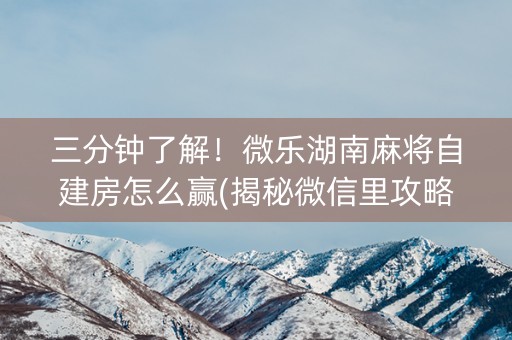 三分钟了解！微乐湖南麻将自建房怎么赢(揭秘微信里攻略插件)