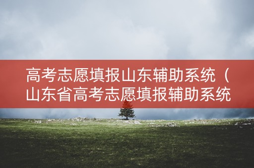 高考志愿填报山东辅助系统（山东省高考志愿填报辅助系统）