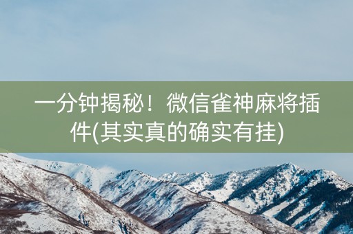 一分钟揭秘！微信雀神麻将插件(其实真的确实有挂)