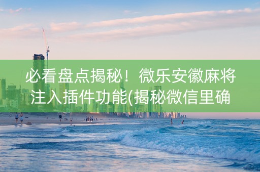 必看盘点揭秘！微乐安徽麻将注入插件功能(揭秘微信里确实有猫腻)