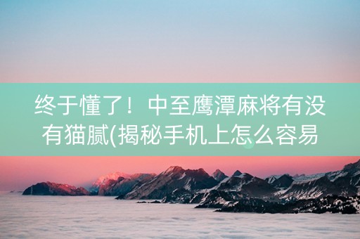 终于懂了！中至鹰潭麻将有没有猫腻(揭秘手机上怎么容易赢)