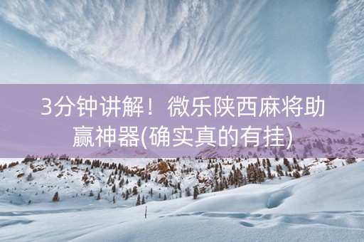 3分钟讲解！微乐陕西麻将助赢神器(确实真的有挂)