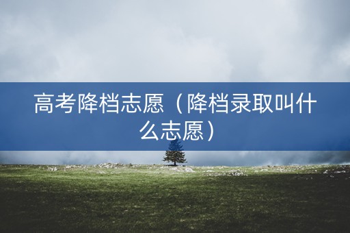 高考降档志愿（降档录取叫什么志愿）