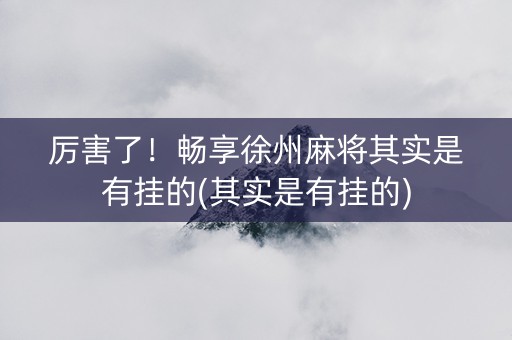 厉害了！畅享徐州麻将其实是有挂的(其实是有挂的)
