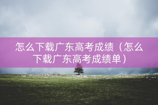怎么下载广东高考成绩（怎么下载广东高考成绩单）