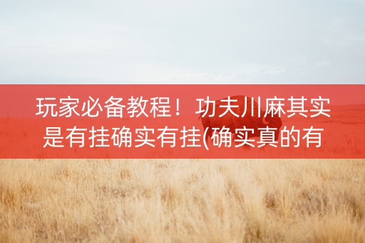 玩家必备教程！功夫川麻其实是有挂确实有挂(确实真的有挂)