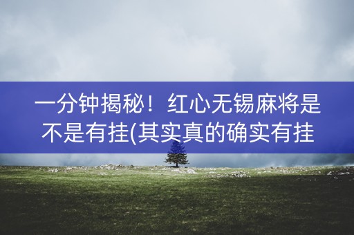 一分钟揭秘！红心无锡麻将是不是有挂(其实真的确实有挂)