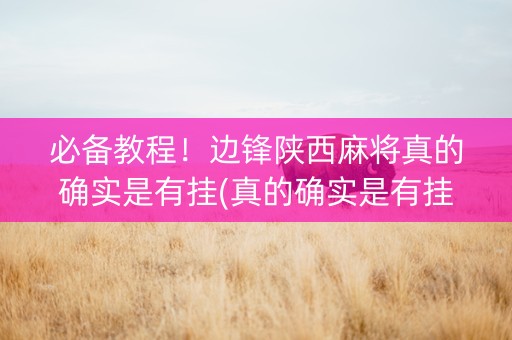 必备教程！边锋陕西麻将真的确实是有挂(真的确实是有挂)